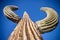 Giant Saguaro Cactus - Horizontal Close-Up