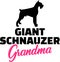 Giant Schnauzer Grandma with silhouette