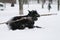 Giant schnauzer runs gallop with an aport in snow