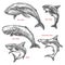 Giant sea animals shark whales vector sketch icons