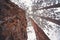 Giant Sequoias Forest. Sequoia detail bark, needles National Park.