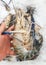Giant size of freshwater prawn Macrobrachium rosenbergii on