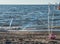 Giant Soap Bubble Fun at the Beach