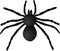 Giant Spider Illustration