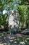 Giant standing stone in shaded woods in Carnac area, France