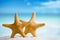 Giant starfish with ocean, beach, sky and seascape, shallow dof