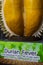 Giant statue of the durian fruit KING OF FRUITS, Thailand