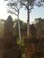 Giant stone faces. South Gate, Angkor Wat. Cambodia