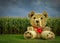 Giant Straw Bale Teddy Bear