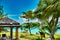 Giant stunning coconut palm tree with a massage hut and deck chairs under the beautiful blue sky on the shores of the sandy