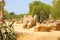 Giant Telamon, Atlas supporting statue of ruined Temple of Zeus in the Valley of Temples of Agrigento, Sicily, Italy. UNESCO World