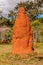 Giant Termite Mound