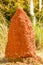 Giant Termite Mound