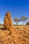 Giant Termite Mound on Outback Western Australia