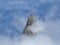 Giant tooth peak in the Mont Blanc Massif