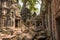 Giant tree and roots in temple Ta Prom Angkor wat