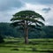 Giant tree stands tall amidst a verdant, sprawling landscape