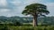 Giant tree stands tall amidst a verdant, sprawling landscape