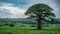 Giant tree stands tall amidst a verdant, sprawling landscape