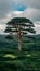 Giant tree stands tall amidst a verdant, sprawling landscape