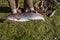 Giant trout ,fisherman holds in hands trout caught in the river