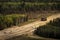 Giant truck driving through a road surrounded by tall green trees