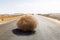 Giant tumbleweed on the highway with sandy dunes, between el-Bahariya oasis and Al Farafra oasis, Western Desert of Egypt.