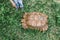 Giant turtle in the green grass. The child feeds the turtle with dandelions. Close-up