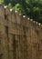 The giant wall of vellore big fort with trees