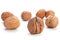 Giant walnut group
