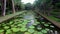 Giant water lilies in Pamplemousses Botanical Garden. Mauritius