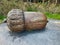 Giant wooden acorn sculpture at The Land of the Giants, Clare Lake, Claremorris