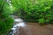 Giants Bathttub Matthiessen State Park