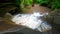 Giants Bathtub Matthiessen State Park