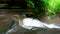 Giants Bathtub Matthiessen State Park