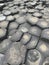 Giants causeway Ireland hexagonal rocks