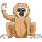 Gibbon Animal Cartoon Colored Clipart