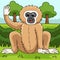 Gibbon Animal Colored Cartoon Illustration