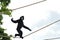 Gibbon Monkey Tightrope Walking