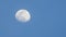 Gibbous Moon Traversing the Sky -01