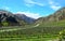 Gibbston Valley and Mountains