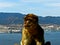 Gibraltar`s Mischievious Monkeys