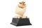 Gift Award Trophy Pedestal. 3d Rendering