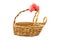 Gift basket with empty space and red ribbon tagged on white back