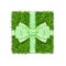 Gift box 3D. Green grass box top view, green ribbon bow isolated white background. Nature friendly design. Eco packaging