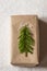 Gift box wrapped in kraft recycled paper, decorated with fir twig in shape of Christmas tree. White background.