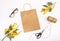 Gift decoration spring set with flowers mimosa