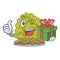 With gift green coral reef isolated with cartoon