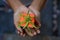 A gift in hand. A small colorful cute gift box in young woman hands with a green cananga odorata flower decoration on it