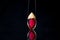 Gift necklace model of rose leaf with epoxy and wood